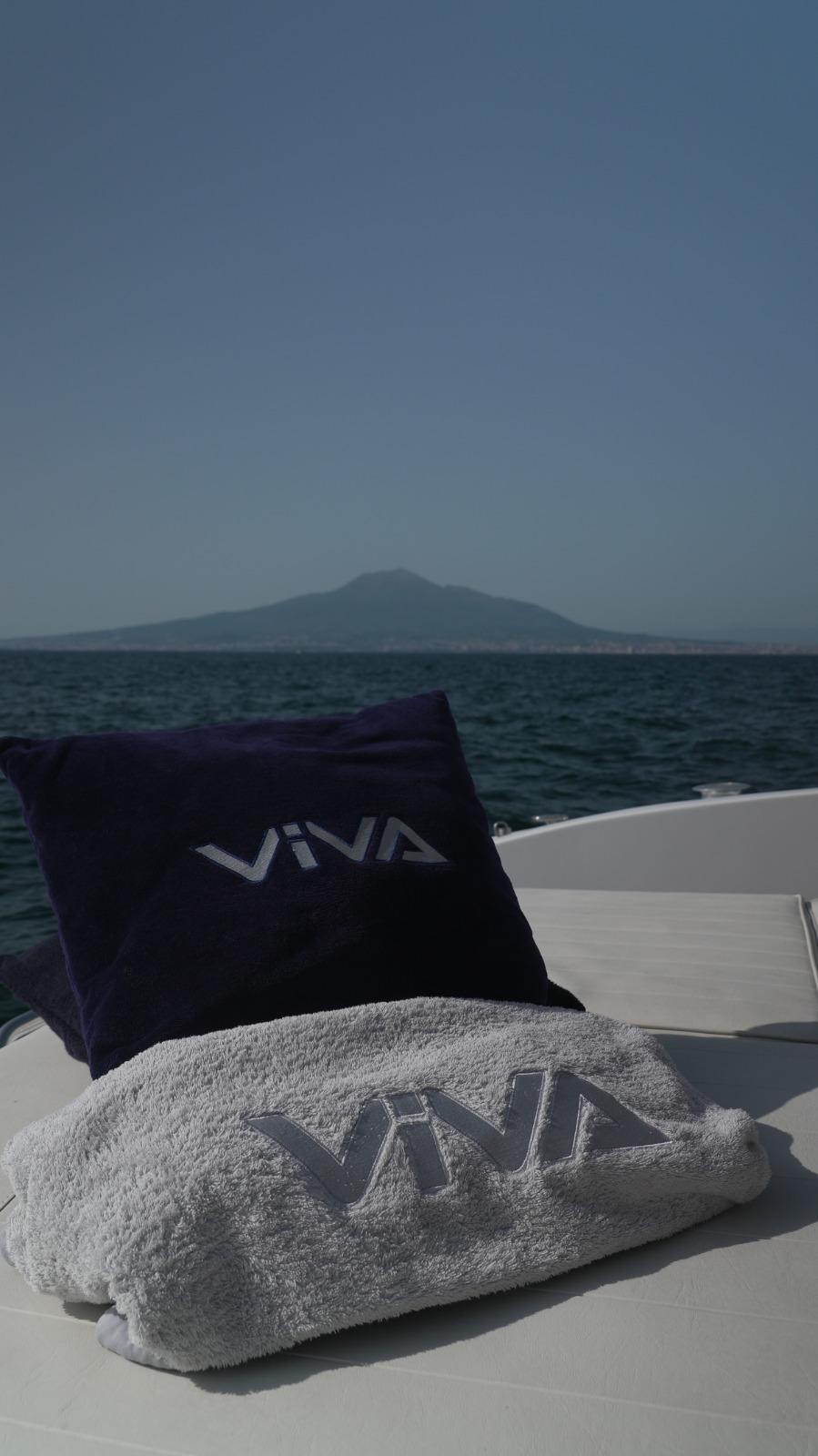 Viva cushions detail with Vesuvius in the background
